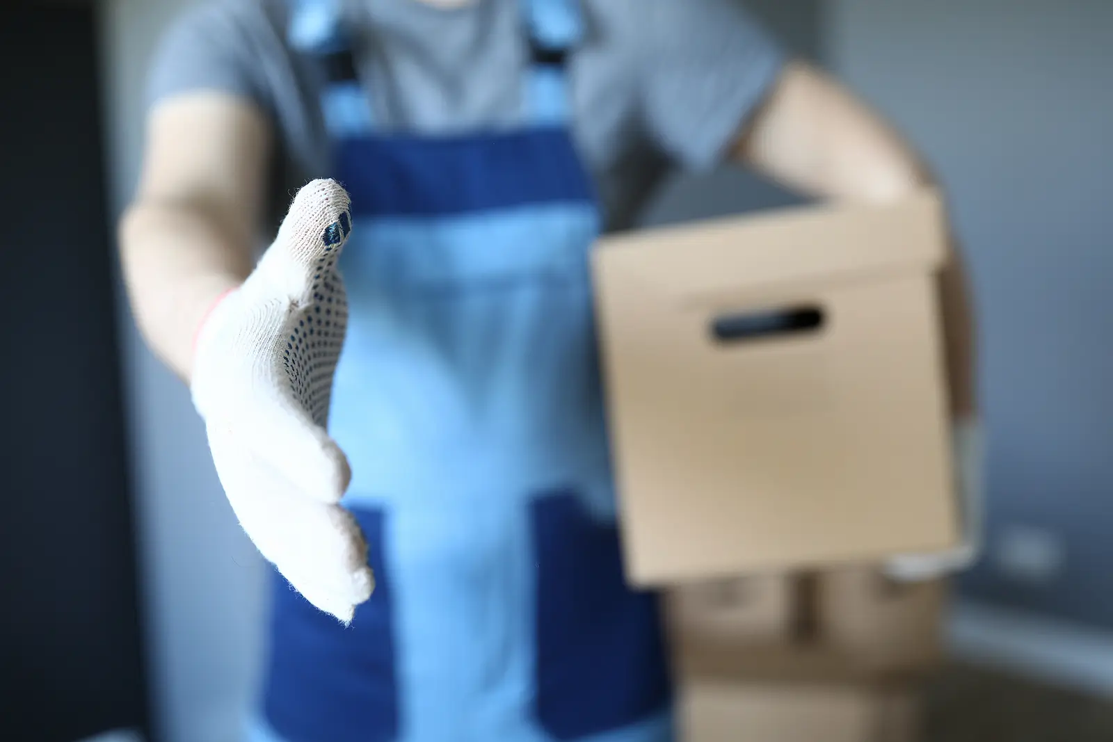 How to Handle Bed Bug Infestations in Your Kansas City Rental Property